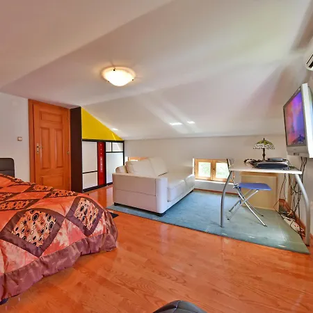 Villa Opatija Villa *